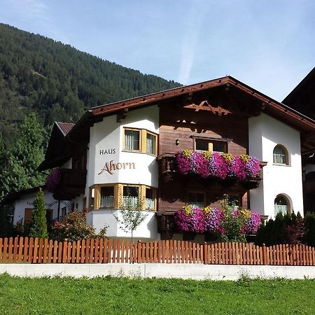 Ferienhaus Ahorn Neustift im Stubaital Esterno foto