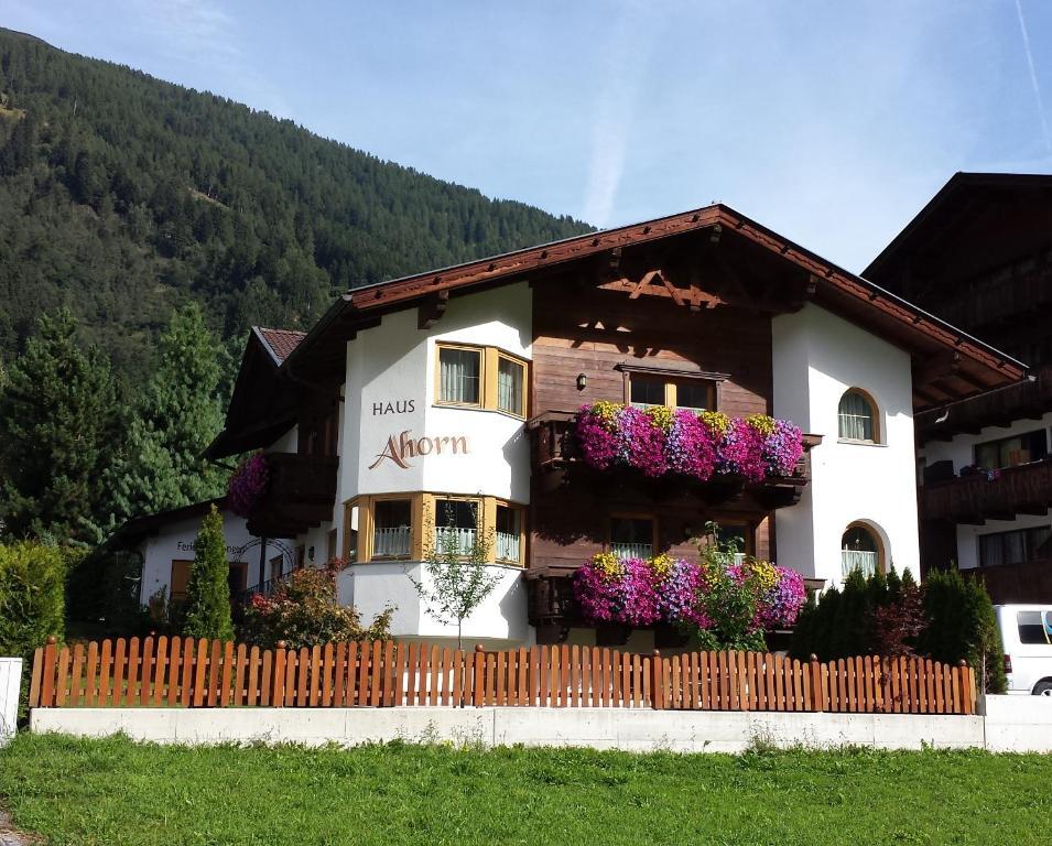 Ferienhaus Ahorn Neustift im Stubaital Esterno foto